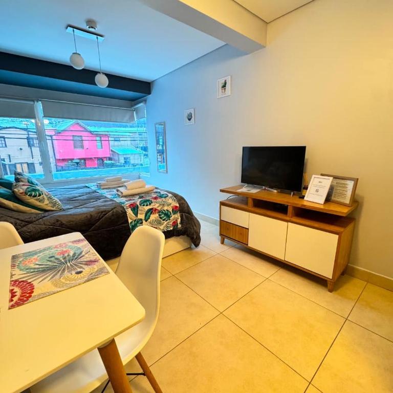 Apartamento Gobernador Paz Mono - Apartamento de 1 dormitorio - 2