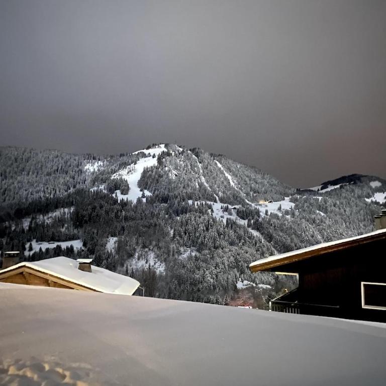 Beautiful foot of slopes with parking - Maison de Vacances - 6