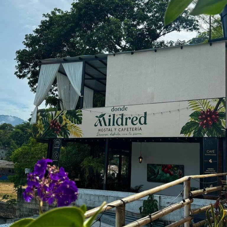 Donde Mildred Hostal y Cafe - Two-Bedroom Standard Apartment - 19