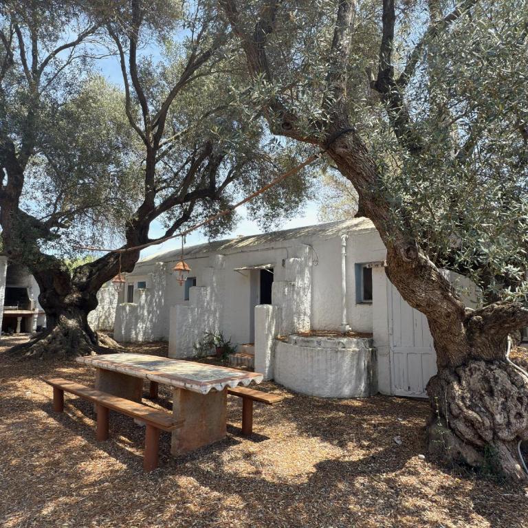 Casa de arte - Villa - 8