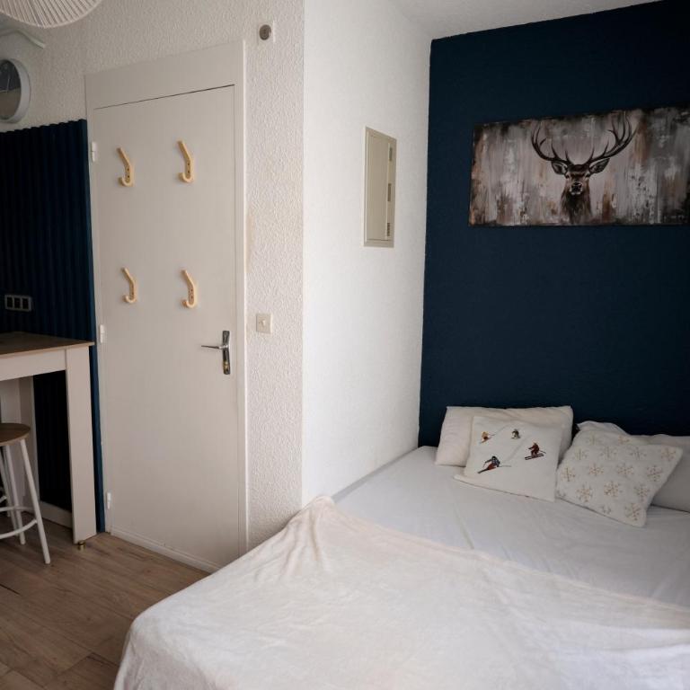Studio Plane Sud - Appartement 1 Chambre - 4
