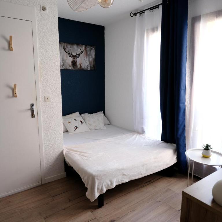 Studio Plane Sud - Appartement 1 Chambre - 3