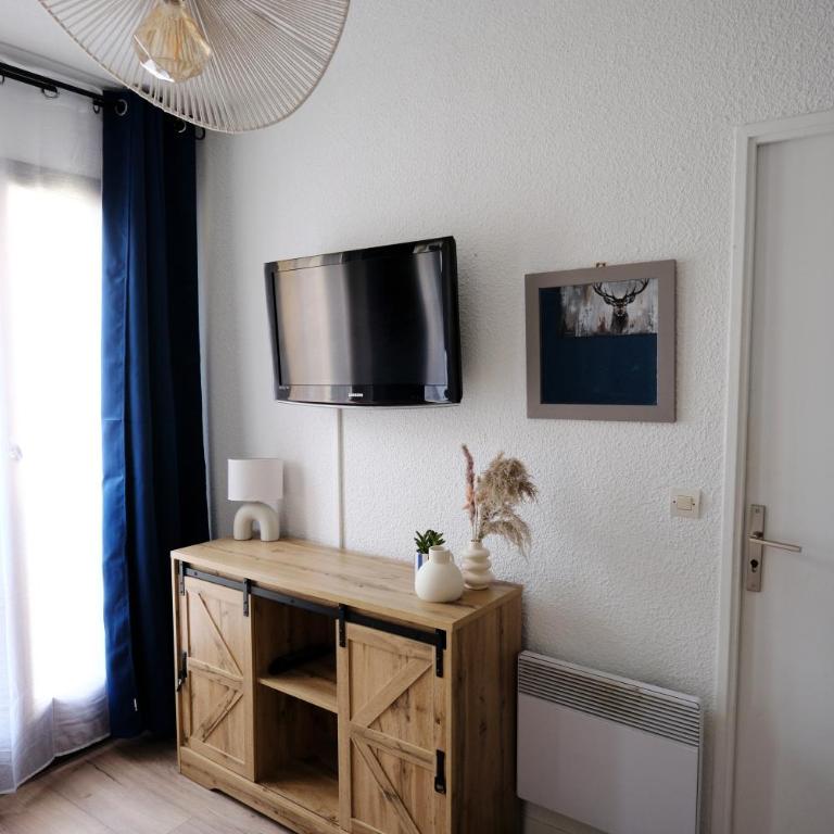 Studio Plane Sud - Appartement 1 Chambre - 5