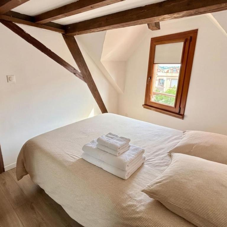 The Gentle Haven Cosy Apartment in Strasbourg - Apartamento - 2
