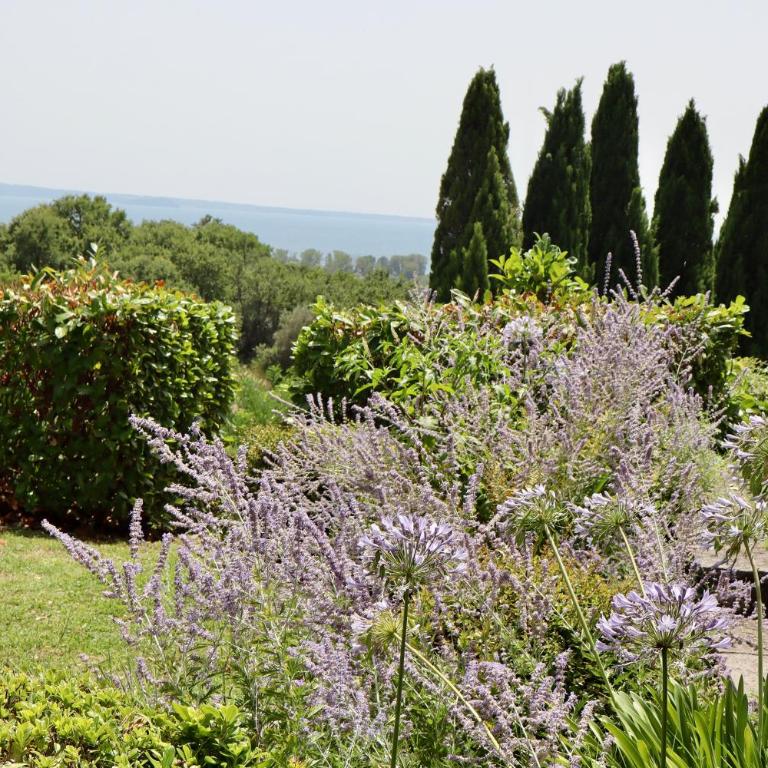 Res Antiqva Relais de Charme and Private Pool - Villa - 80