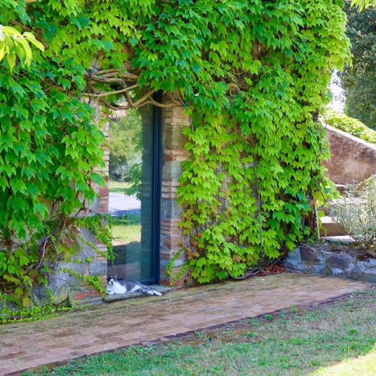 Res Antiqva Relais de Charme and Private Pool - Villa - 79