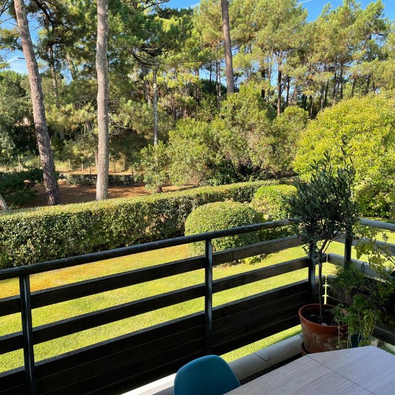 Les pins marins - Appartement 2 Chambres - 1