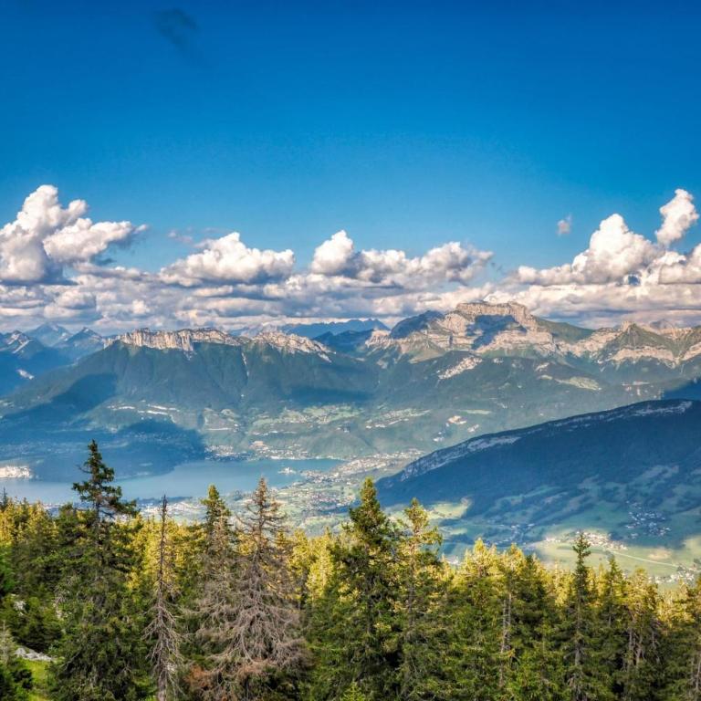 3 Bedroom - Heart of Annecy - No Wifi - Apartment - 17