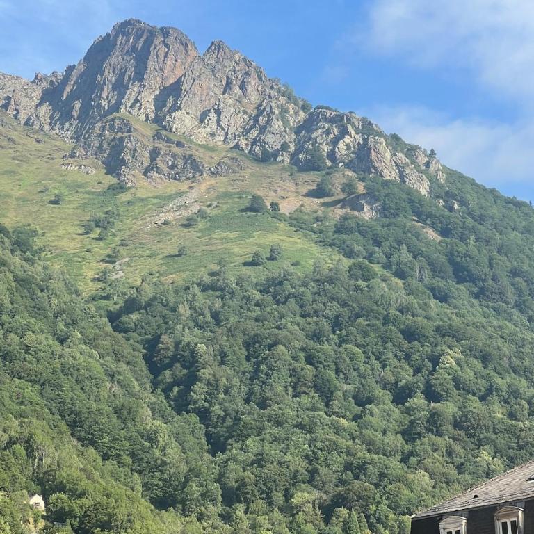 Chez Sabrina et Alain Cozy apartment - mountain view - very central - 4 people - Appartement 1 Chambre - 20