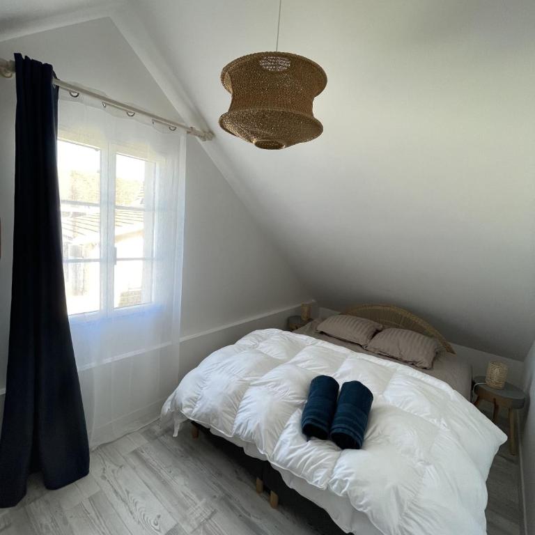 Arcachonnaise 5 chambres, 500M de la plage et 6 vélos à disposition - Casa con 5 Camere da Letto - 19