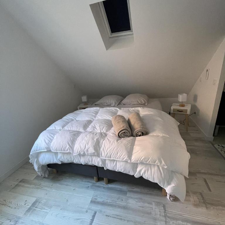 Arcachonnaise 5 chambres, 500M de la plage et 6 vélos à disposition - Casa con 5 Camere da Letto - 24