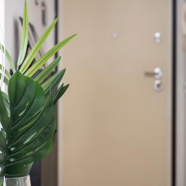 guidobono 5 - Apartamento de 1 dormitorio - 7