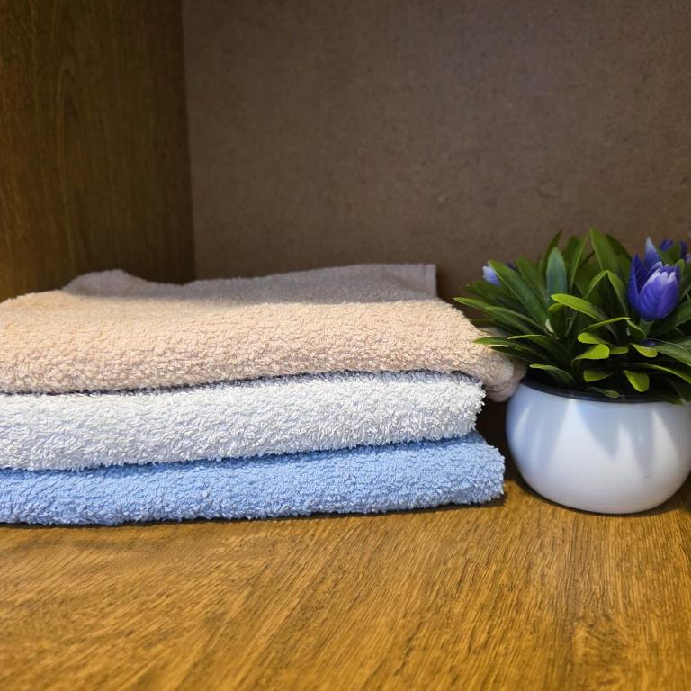 Kućica pod smokvom - Apartment mit 1 Schlafzimmer - 10