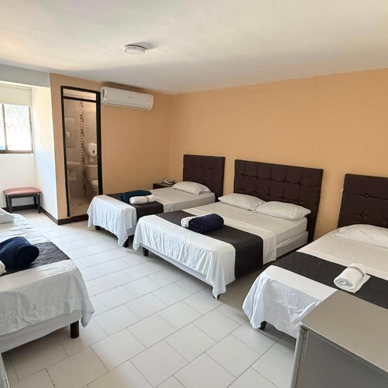 Hotel Exito Barranquilla - Suite Junior - 2