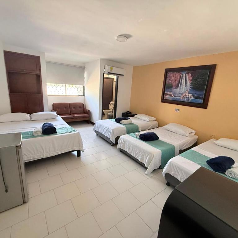 Hotel Exito Barranquilla - Suite Junior - 4