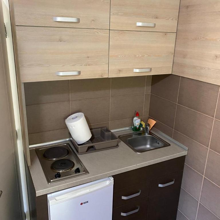 Apartments Romantika - Apartman sa 1 Spavaćom Sobom - 16