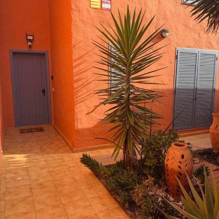 Montaña Blanca - Casa Bimba - Apartment - 43