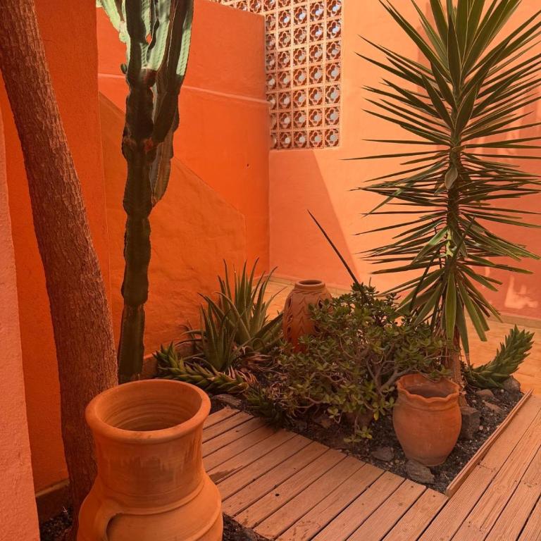 Montaña Blanca - Casa Bimba - Apartment - 45