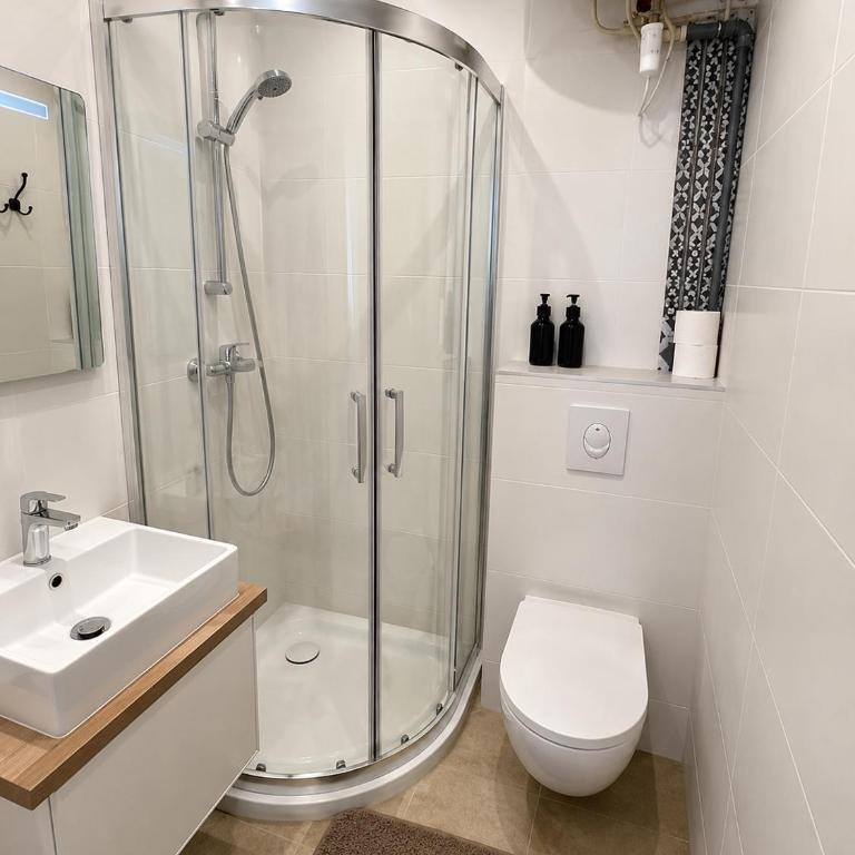 Studio Cosy - Appartement 1 Chambre - 4