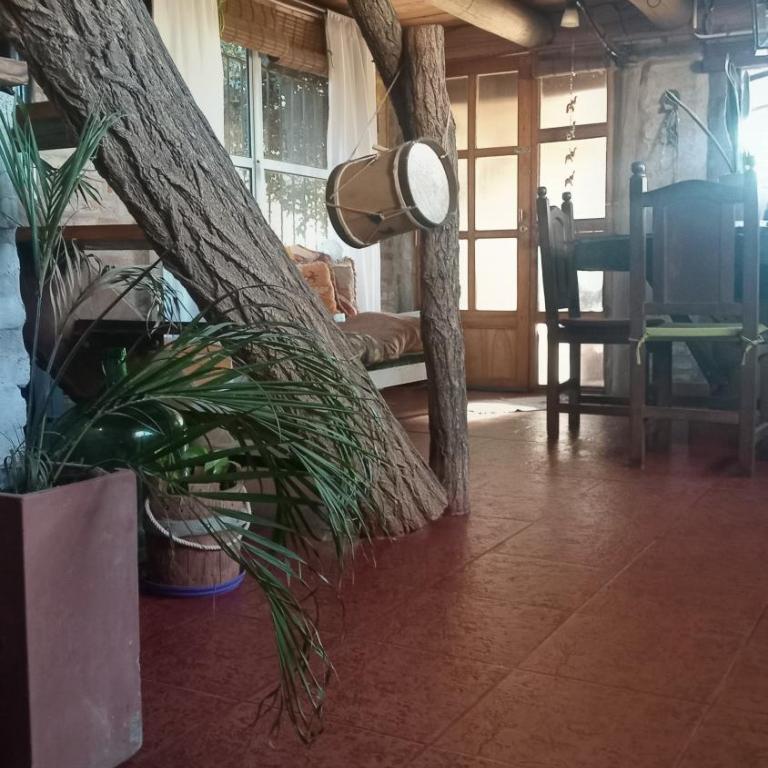 La Agraria - Apartamento de 1 dormitorio - 5