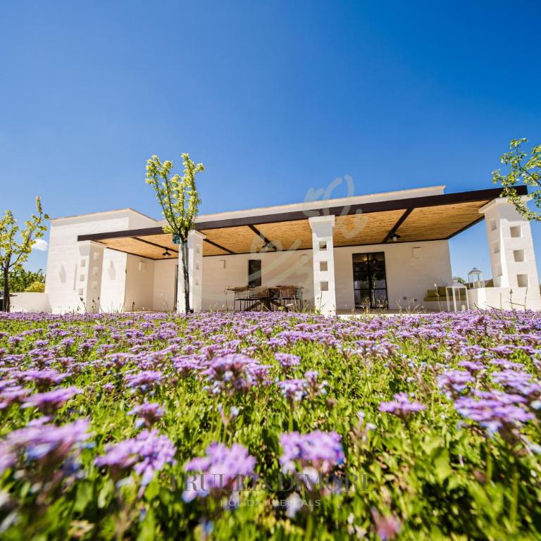 TD Villa Antonia - Hidden Citrus Retreat - Villa - 50