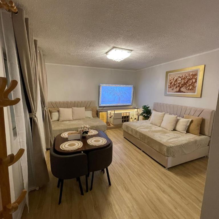 Mini Apartment Ares 3 - One-Bedroom Apartment - 1