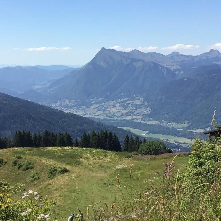Superbe studio au pied des pistes Samoëns 1600 - Apartment mit 1 Schlafzimmer - 18