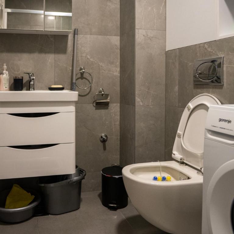 Apartman Tea - Apartman sa 1 Spavaćom Sobom - 19