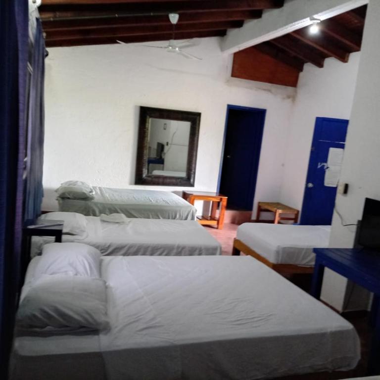 MayFlower Hotel & Hostal - Bungalow Familiar - 12