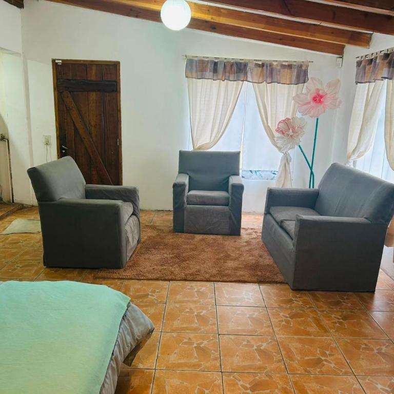 Alojamiento Turístico Colihues - One-Bedroom Apartment - 10