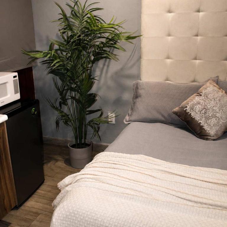 Bowra, Estudio Zona Consulado ORQ 2 - Apartment mit 1 Schlafzimmer - 16