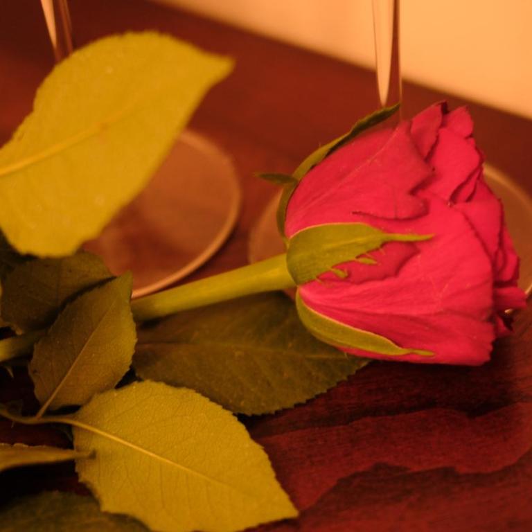 Guest House Biondi Pomezia - Camera Matrimoniale Standard - 2