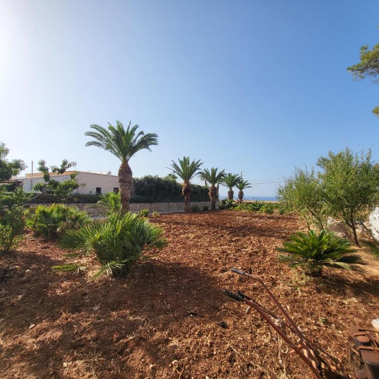 Appartamenti Paradise San Vito Lo Capo - Appartamento con 2 Camere da Letto - 15