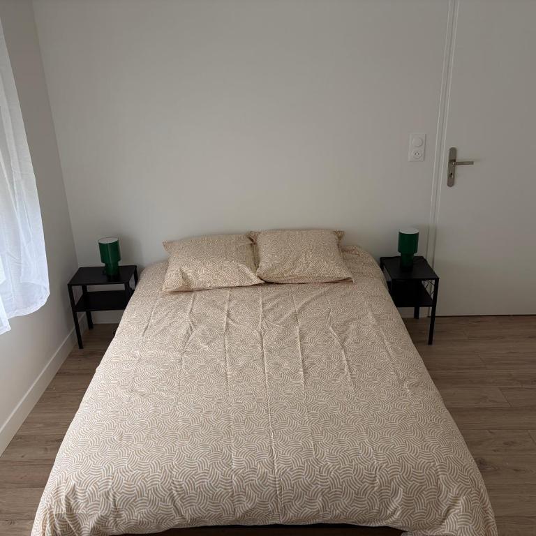 Appartement T2 - 101 - Hyper Centre - Intégralement rénové - Toutes commodités à pied - Appartement 1 Chambre - 3