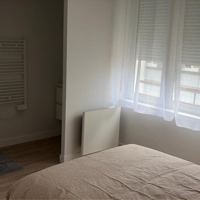 Appartement T2 - 101 - Hyper Centre - Intégralement rénové - Toutes commodités à pied - Appartement 1 Chambre - 4