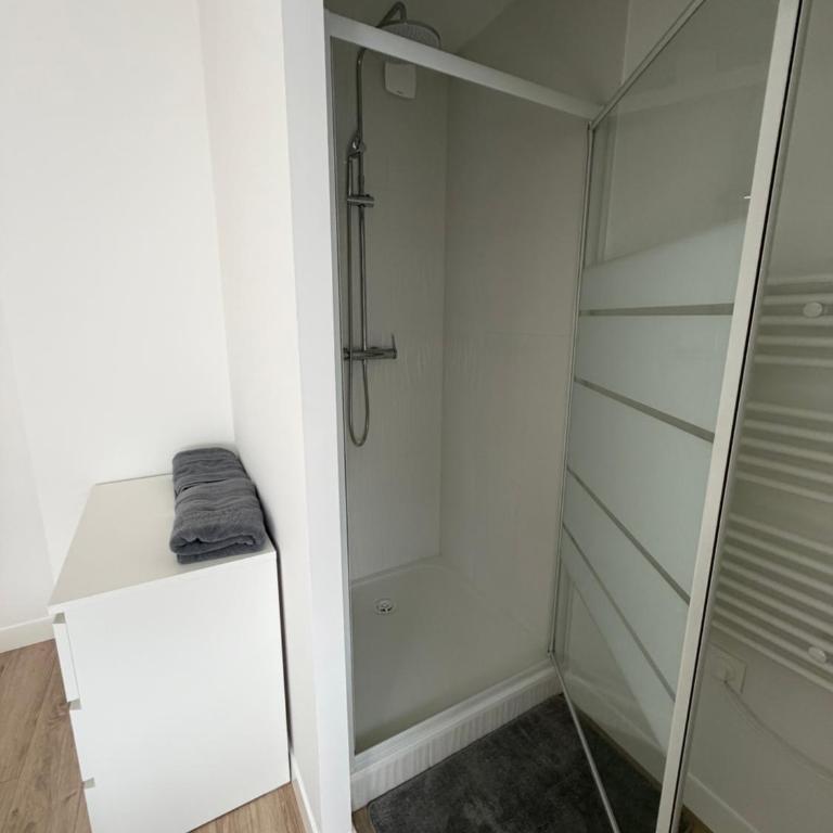 Appartement T2 - 101 - Hyper Centre - Intégralement rénové - Toutes commodités à pied - Appartement 1 Chambre - 9