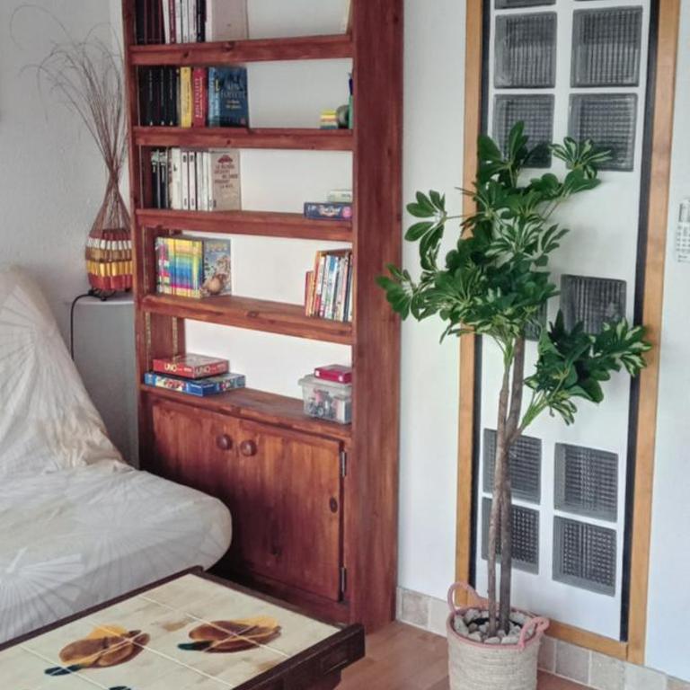 Les Hirondelles - Appartement 1 Chambre - 10