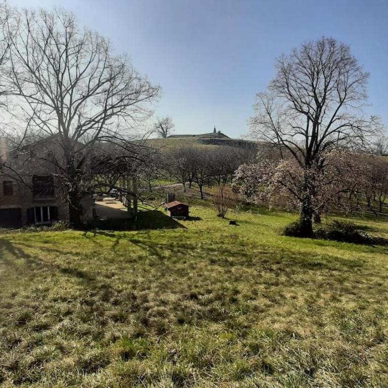 Fresh house & huge terrace at the foot of the Vercors - Maison 1 Chambre - 4
