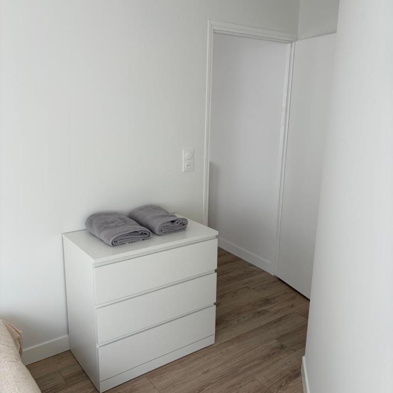 Appartement T2 - 102 - Hyper Centre - Intégralement rénové - Toutes commodités à pied - Appartement 1 Chambre - 10