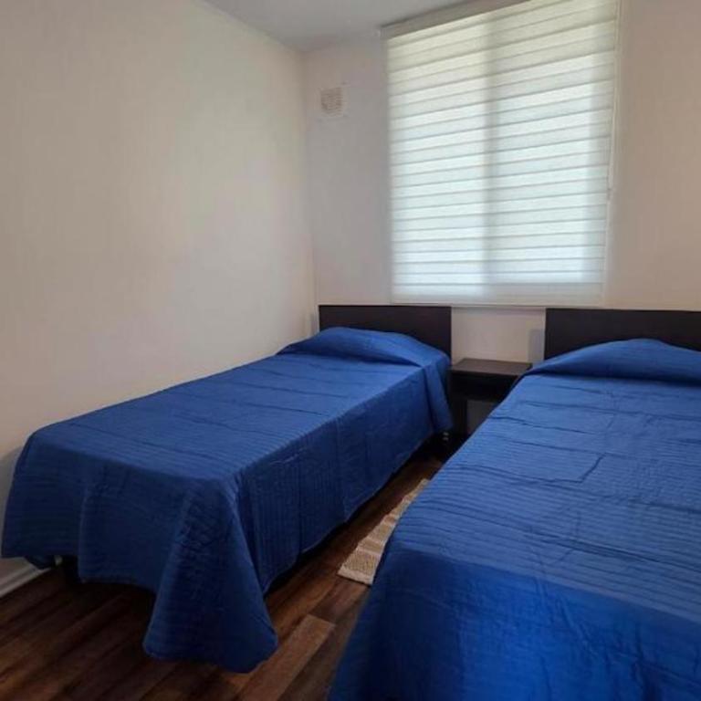 Oceana Suites Volcán Villarrica - Apartamento de 3 dormitorios con balcón - 4