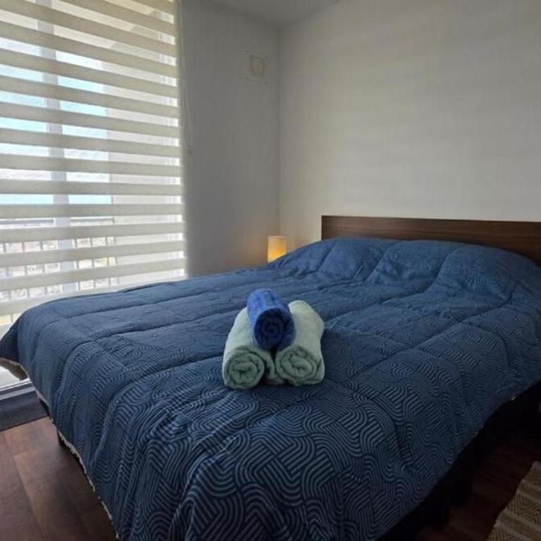 Oceana Suites Volcán Villarrica - Apartamento de 3 dormitorios con balcón - 10