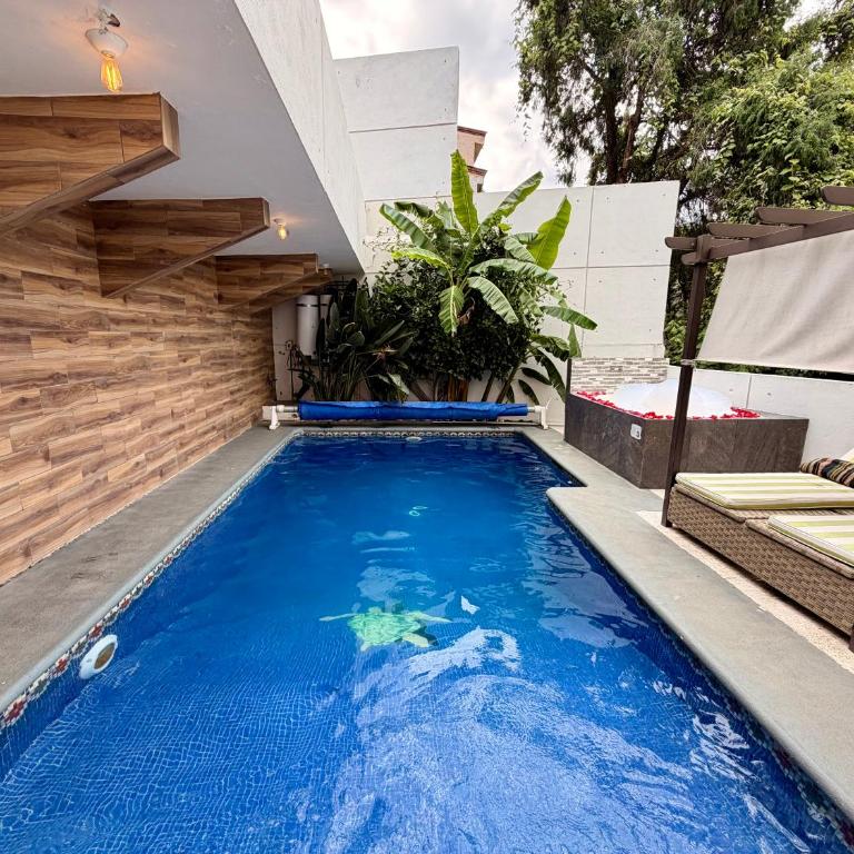 Loft Lujo Estilo y Diseño, alberca con calefacción! Cuernavaca somos los únicos en ofrecerte 2 jacuzzis tipo Spa con agua caliente y sistema de hidromasaje, elegante y amplia cama de alberca, 3 Smart TV, terraza privada con asador de carbon, WiFi gratis! - Apartamento de 2 dormitorios con vistas a la piscina - 4