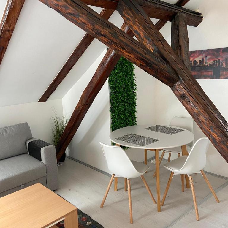 ATIK in the heart of Novi Sad - One-Bedroom Apartment - 9