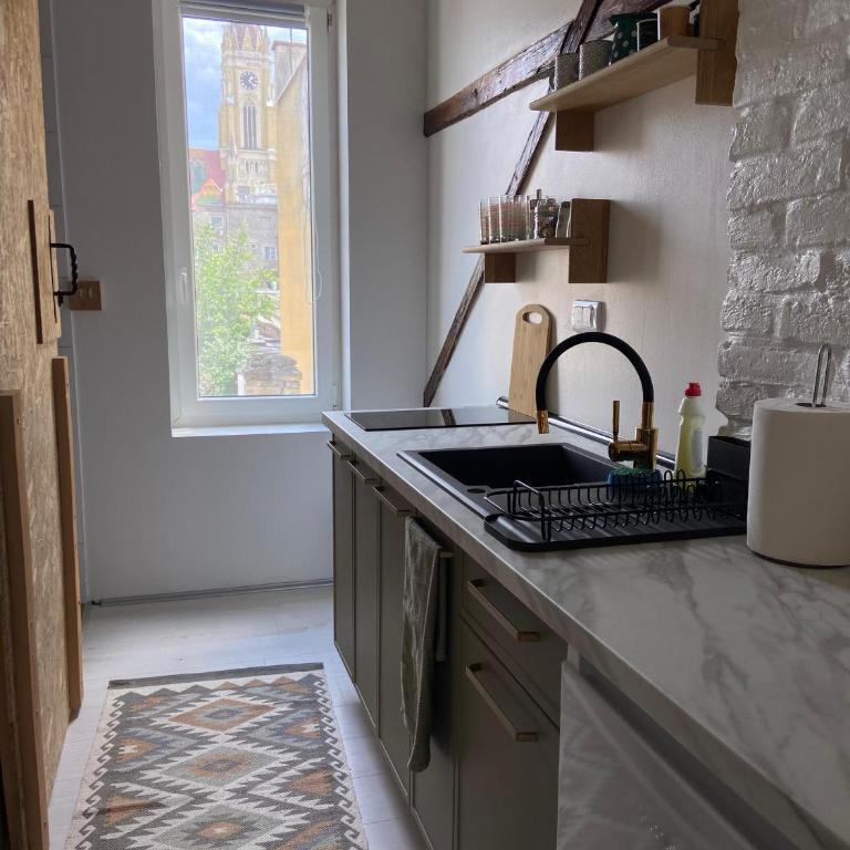 ATIK in the heart of Novi Sad - One-Bedroom Apartment - 13