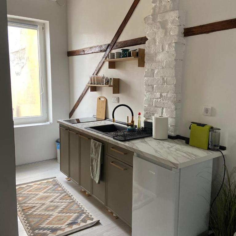 ATIK in the heart of Novi Sad - One-Bedroom Apartment - 10