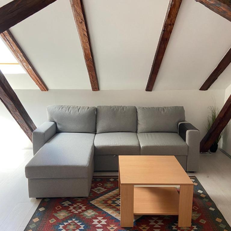 ATIK in the heart of Novi Sad - One-Bedroom Apartment - 7
