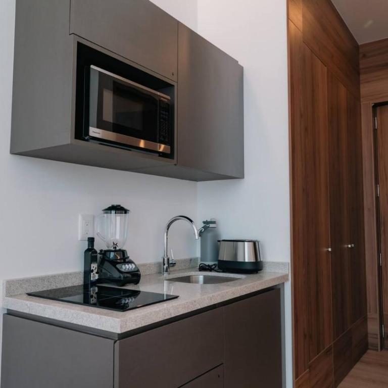 Condesa Residence - Roma Luxury Suite 202 - One-Bedroom Apartment - 19