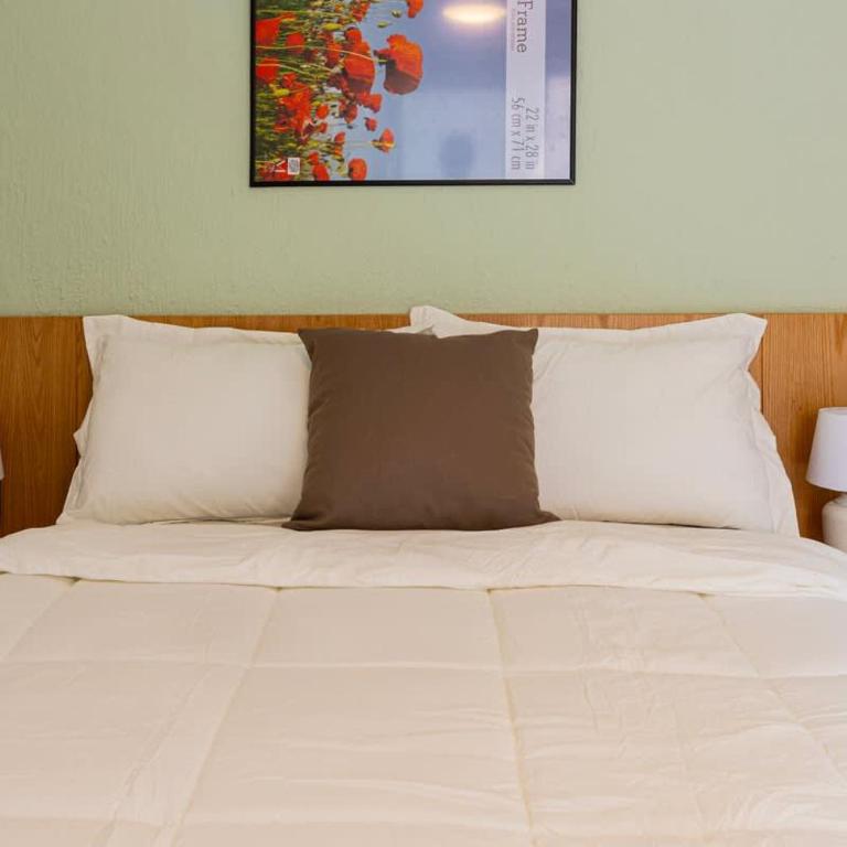 Comfortable Apartment Near Expo Guadalajara - Apartamento - 48