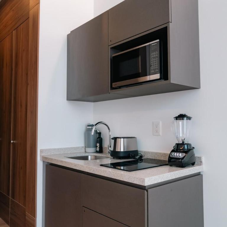 Condesa Residence - Roma Luxury Suite 203 - One-Bedroom Apartment - 59