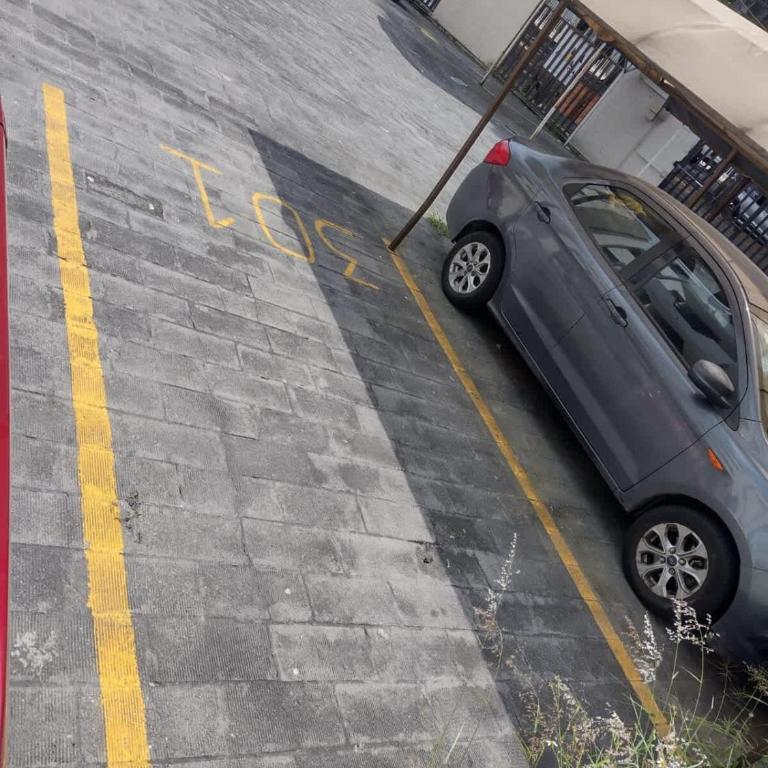 Apartment Private Parking Downtown Guadalajara - Apartamento - 53